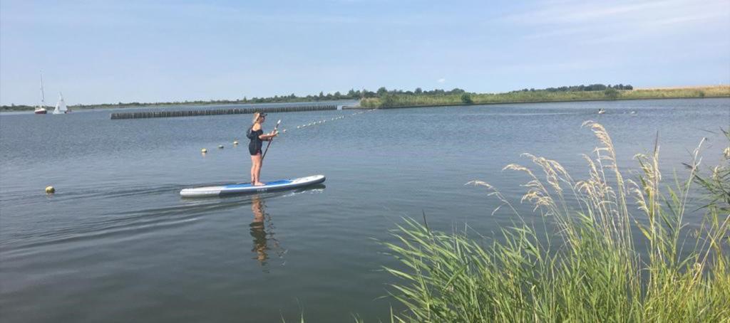 Paddle camping de Lauwersoog